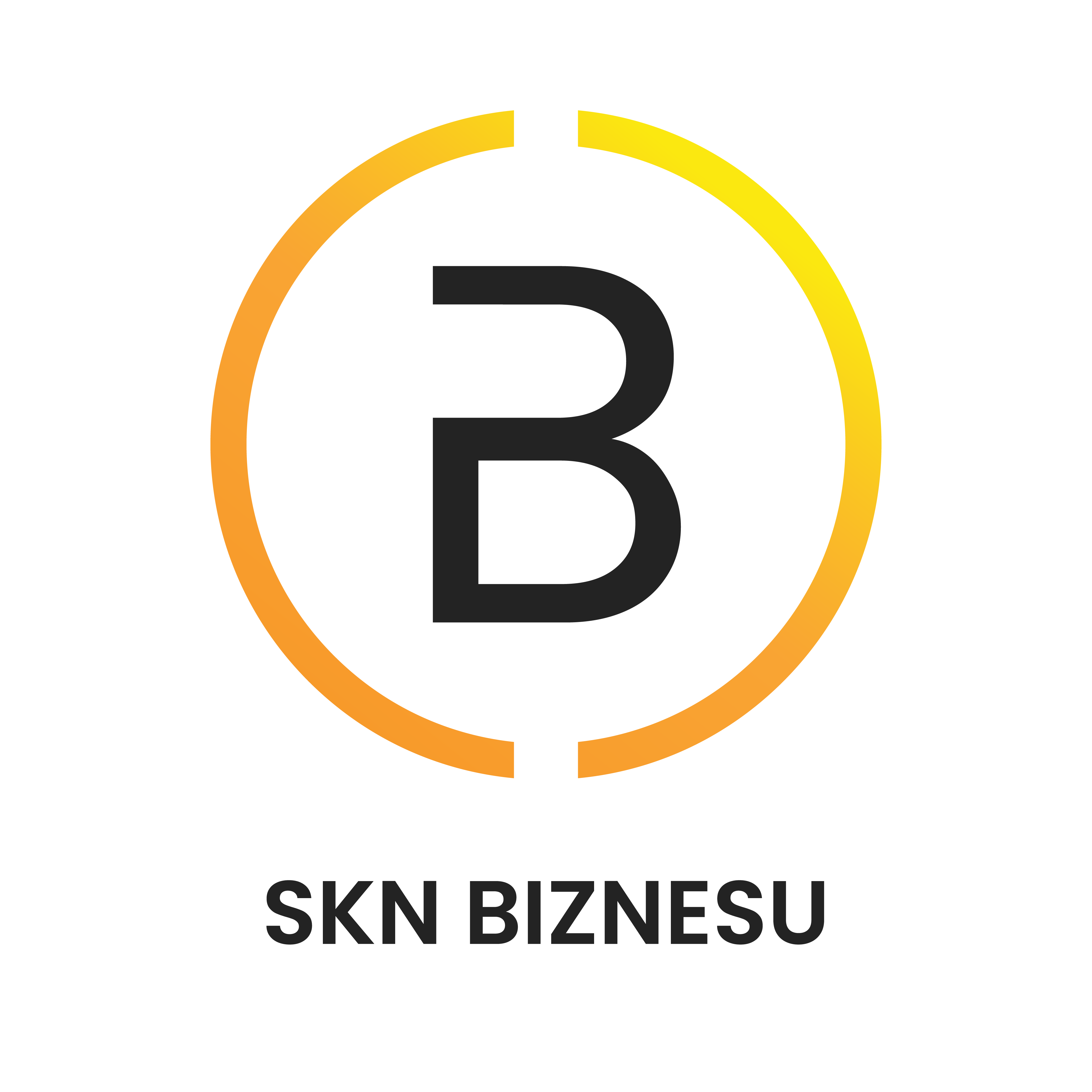 SKN Biznesu