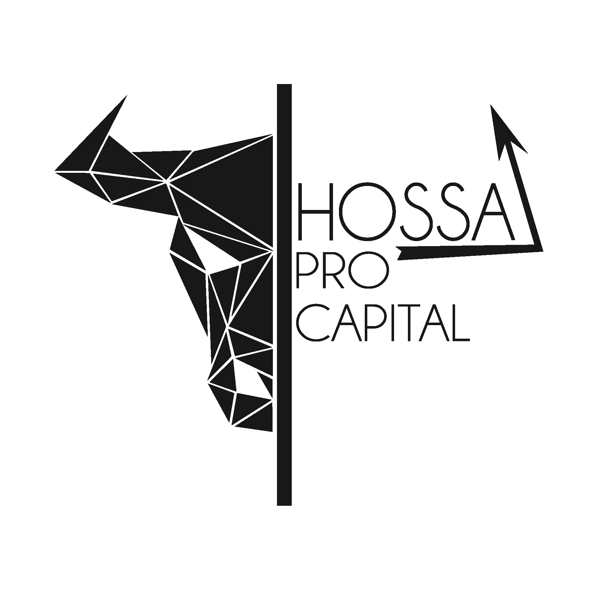 Koło Naukowe Rynków Kapitałowych Hossa ProCapital